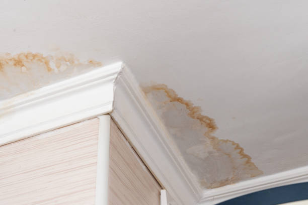 Brown water staining spreading across a ceiling and cornice in the corner of a room